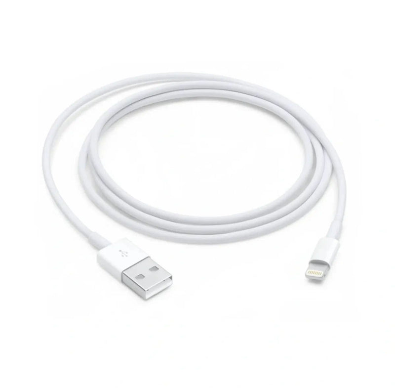 Apple Lightning to USB Cable (1m)