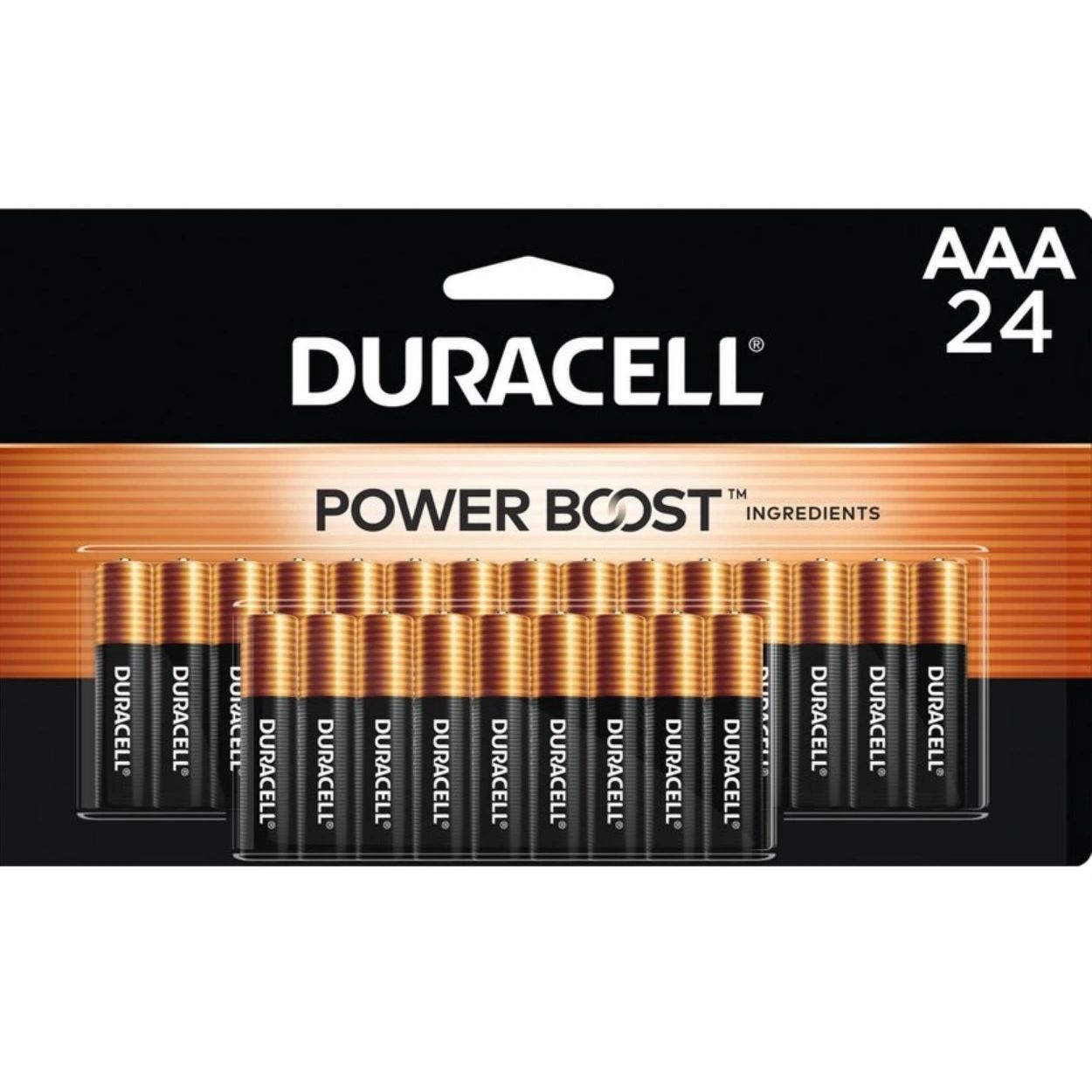 Duracell Coppertop AAA Batteries - 24pk Alkaline Battery: Output 1.5V, Single-Use