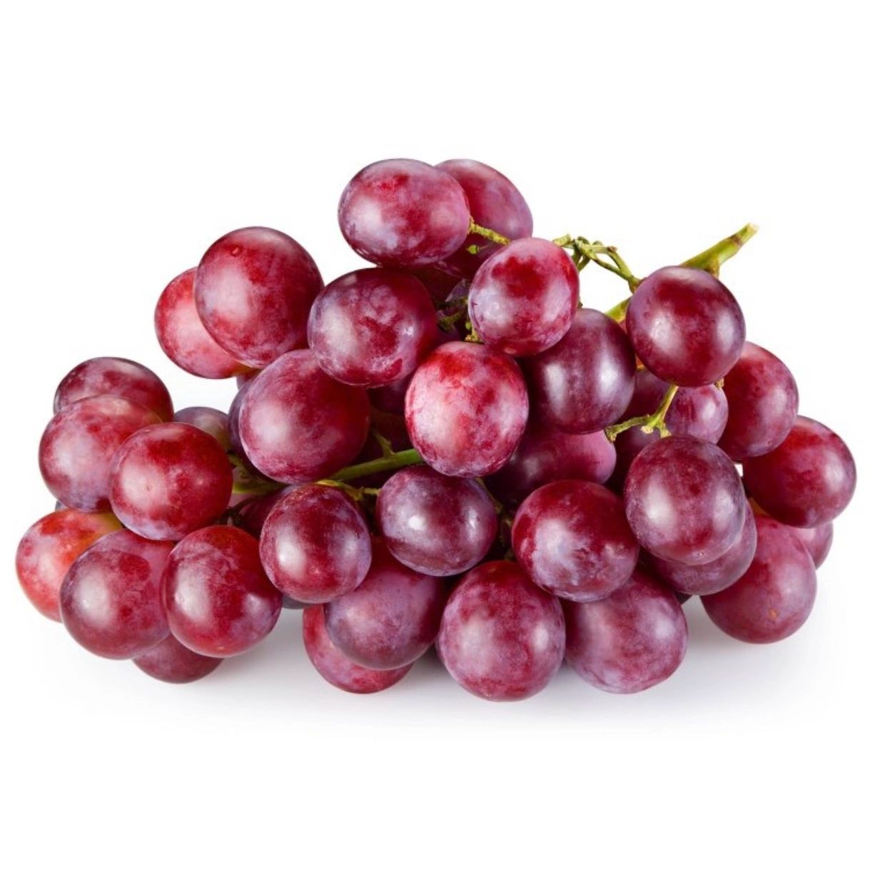 Extra Large Red Seedless Grapes - 1.5lb Bag