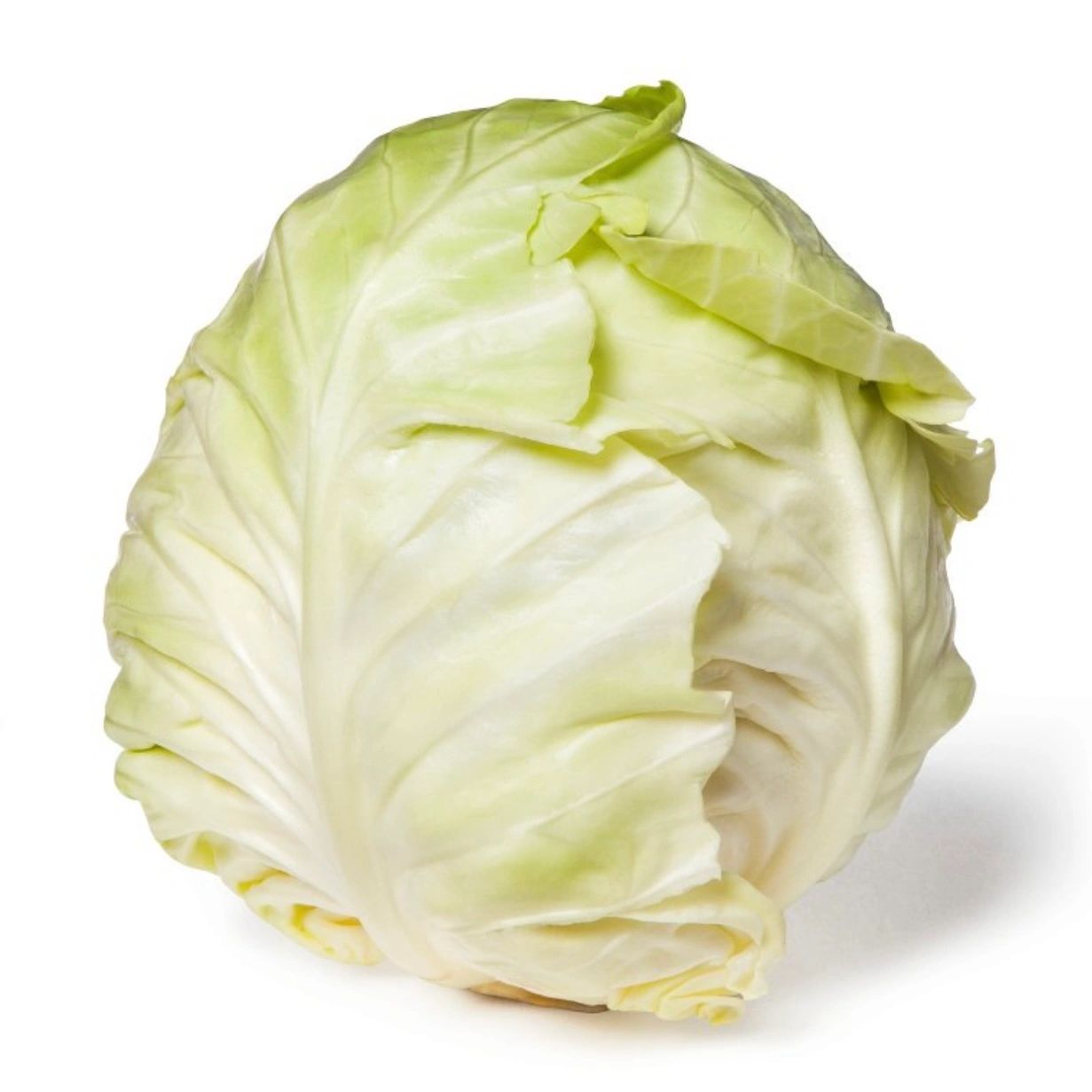 Green Cabbage - each