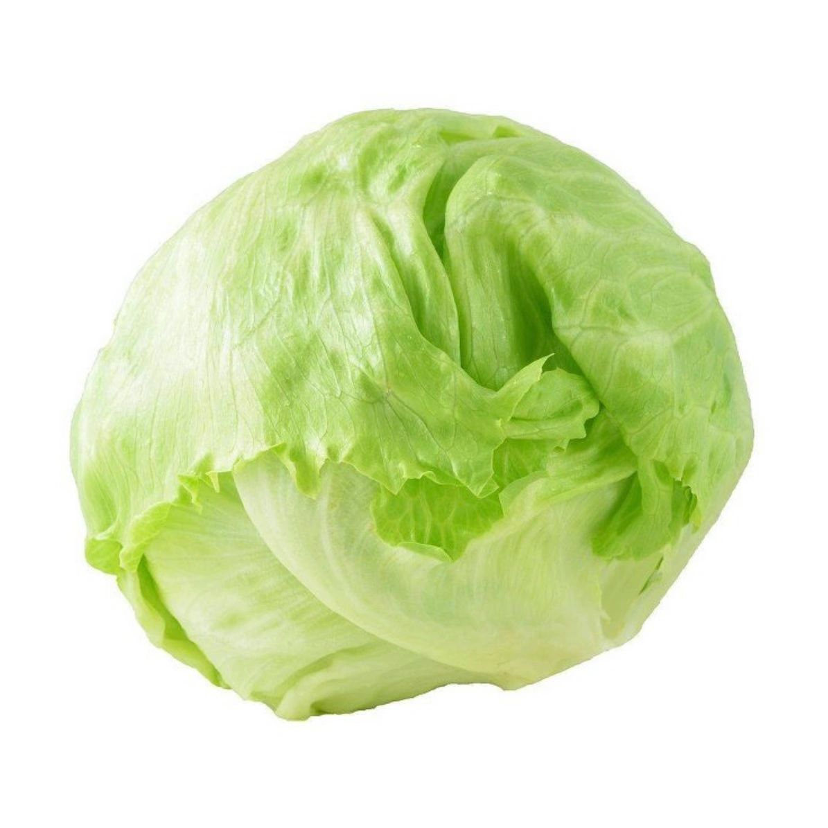 Iceberg Lettuce Head - each