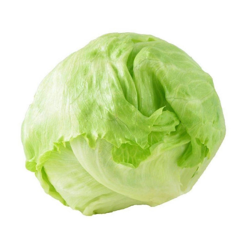 Iceberg Lettuce Head - each