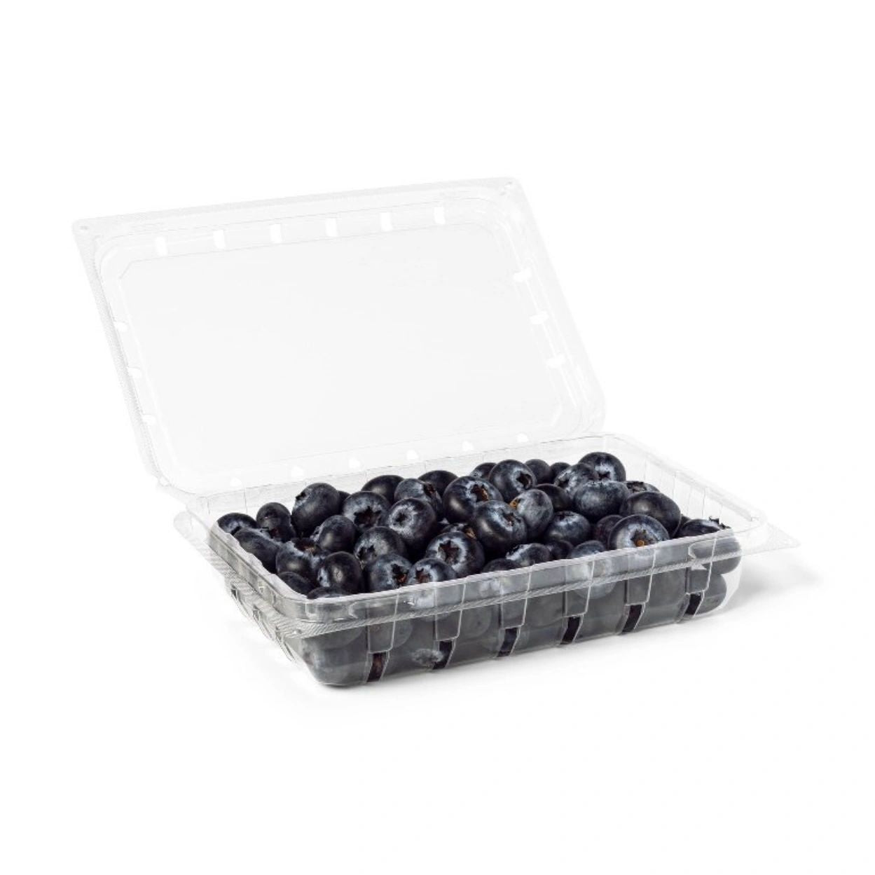 Jumbo Blueberries - 9.80z