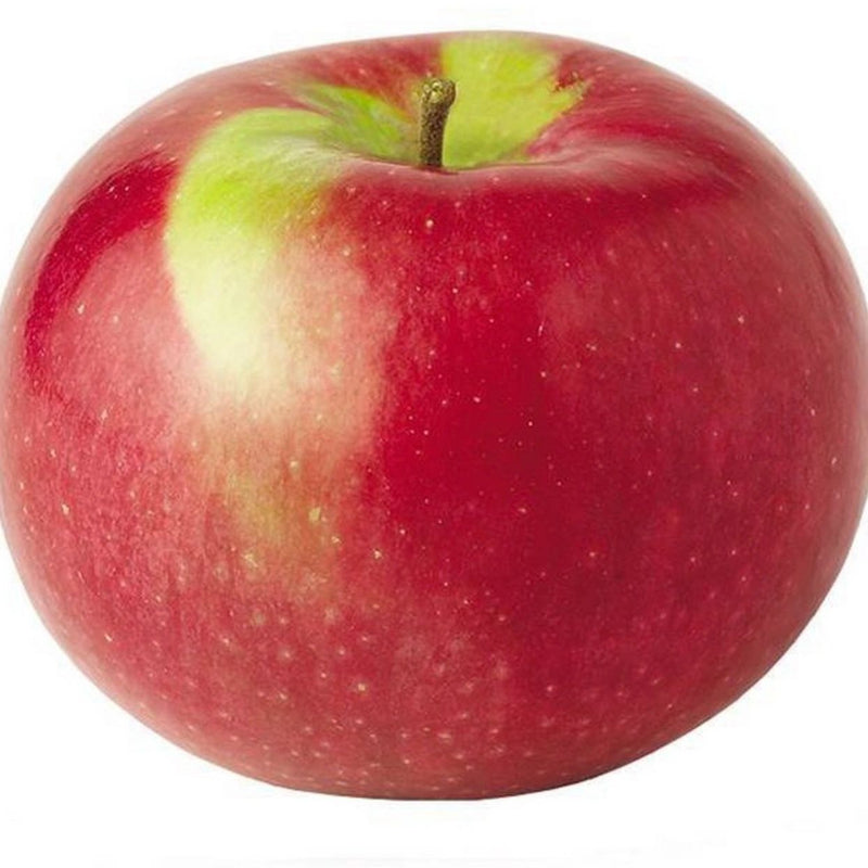 McIntosh Apples - 3lb Bag