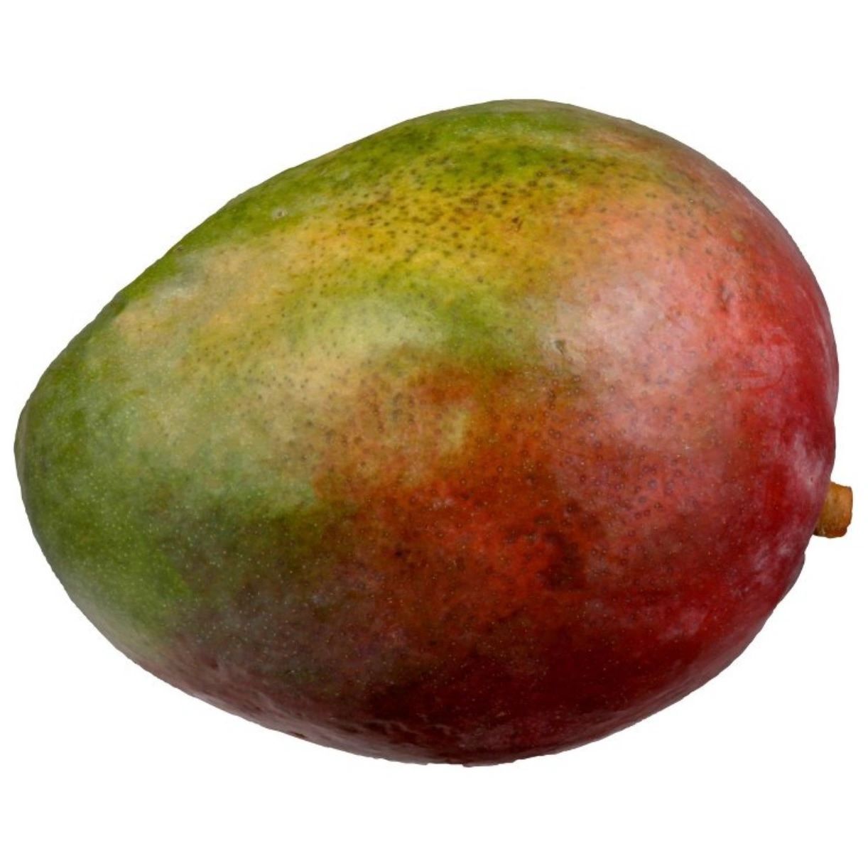 Premium Mango - each